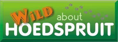 Hoedspruit